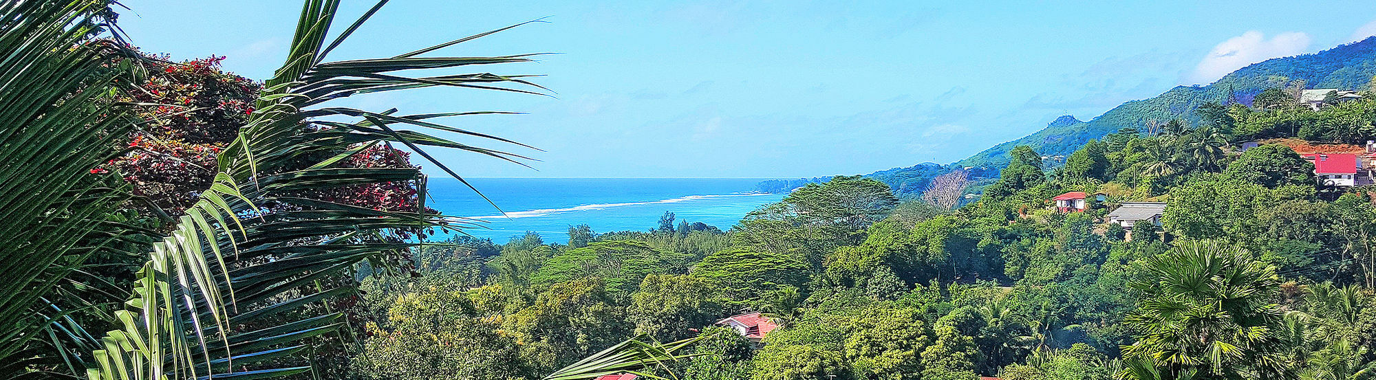 Maison Oasis Reef Estate Anse aux Pins Kültér fotó
